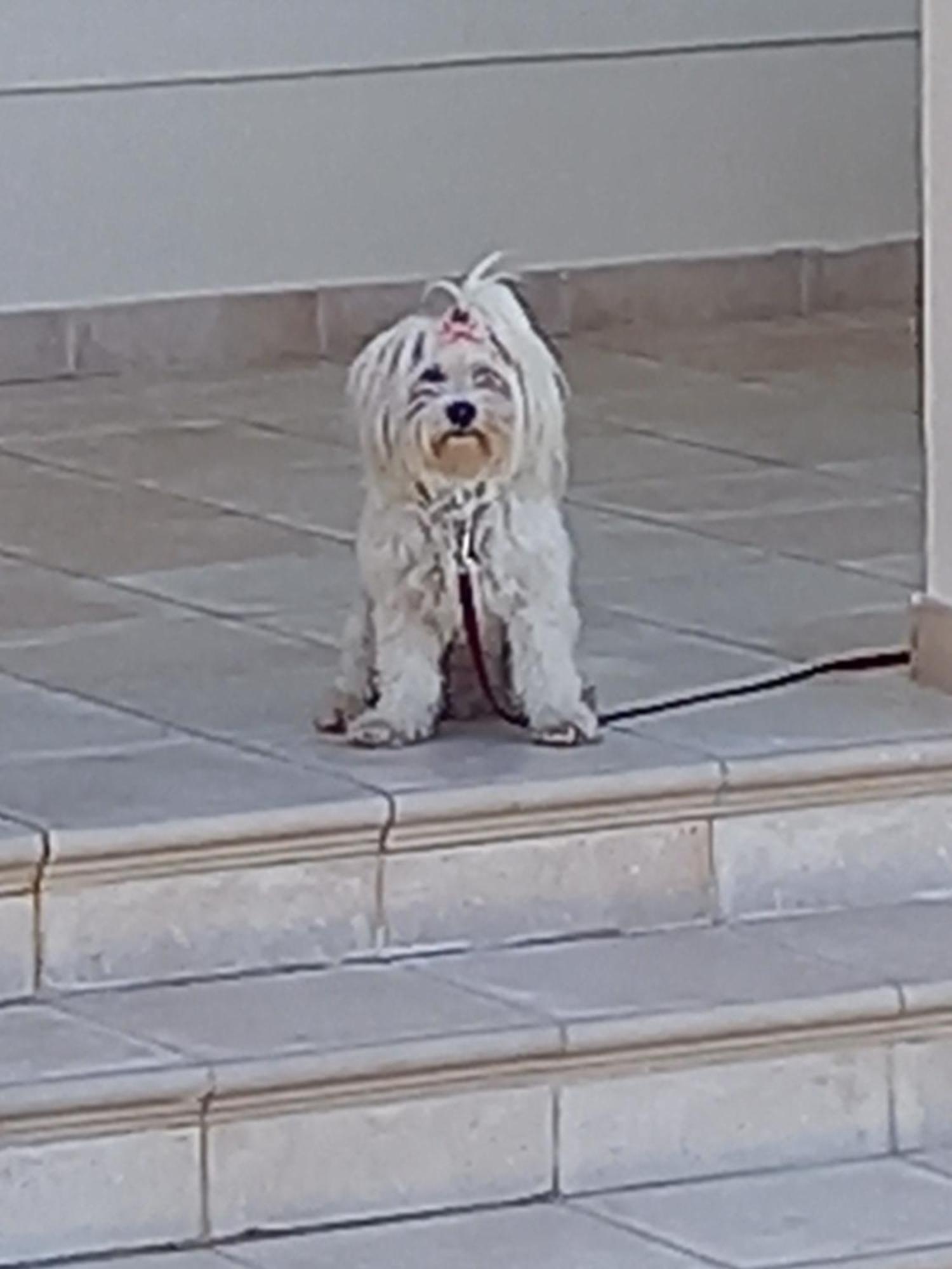 Villa Koumneni Pano Akourdalia Zewnętrze zdjęcie