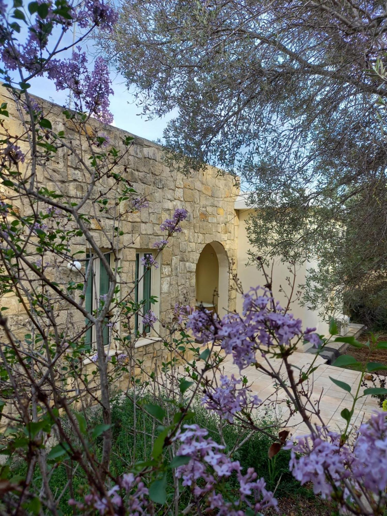 Villa Koumneni Pano Akourdalia Zewnętrze zdjęcie