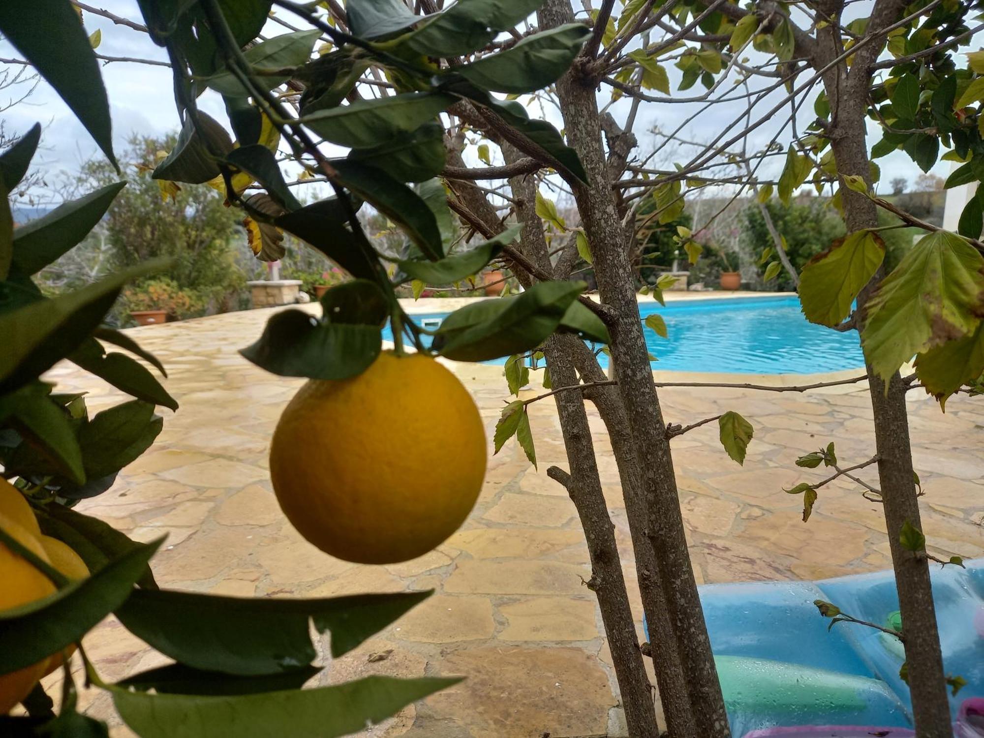 Villa Koumneni Pano Akourdalia Zewnętrze zdjęcie